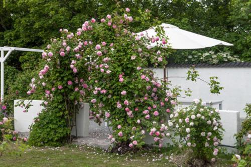 Vallby Cottage Enköping Eksteriør bilde