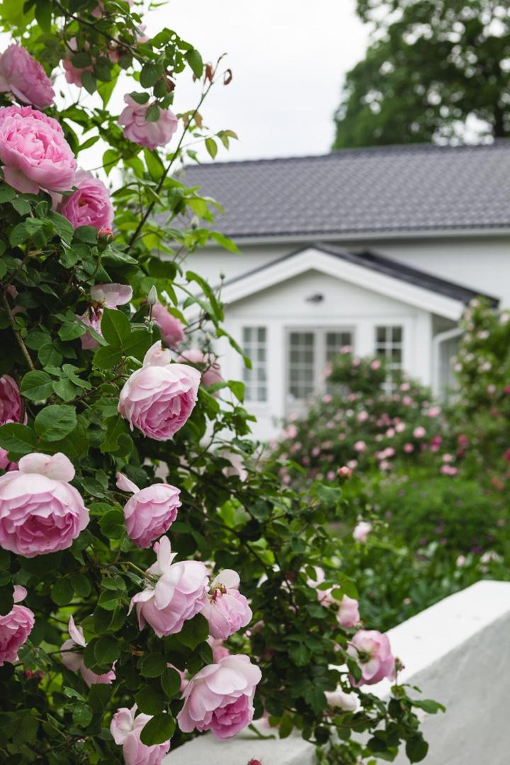 Vallby Cottage Enköping Eksteriør bilde